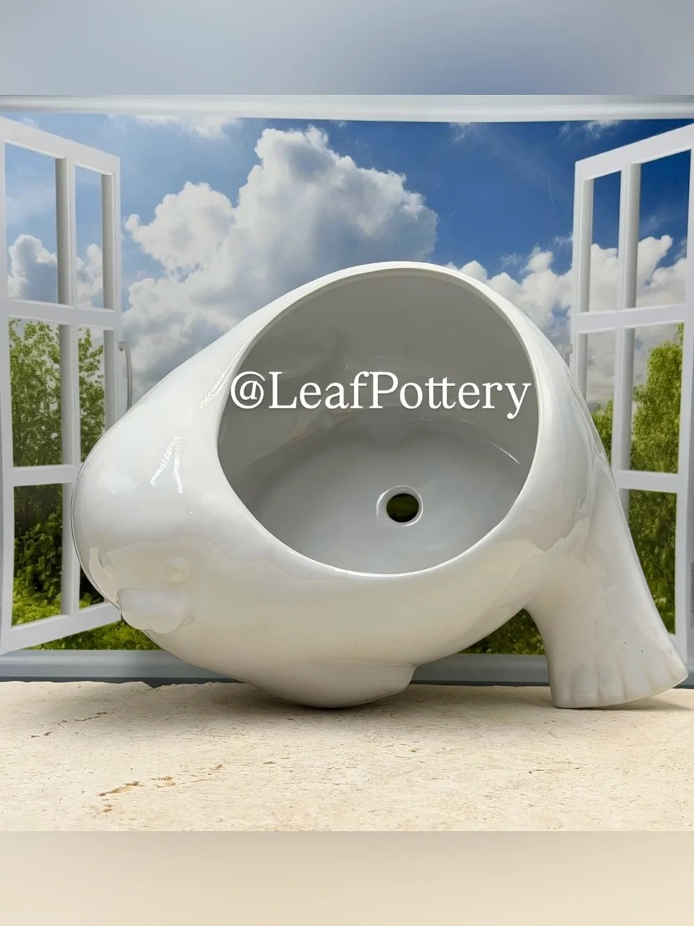 Ceramic Seal Planter with Drainage Hole • Cute Animal Flower Pot